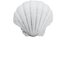 Churchill Dentistry of Carrollwood